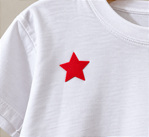 Broche Estrela de Acrílico