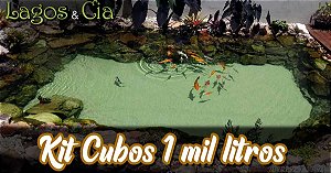 Kit Cubos para lagos de até 1000 litros (220v) Básico