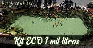 Kit Eco para lagos de até 1000 litros (127v) Básico com areia