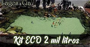 Kit ECO para lagos de até 2000 litros (220v) Básico com areia