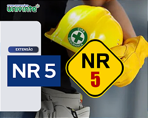 NR 05 - COMISSÃO INTERNA DE PREVENÇÃO DE ACIDENTES- CIPA