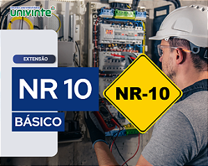 NR 10 SEGURANÇA EM INSTALAÇÕES E SERVIÇOS EM ELETRICIDADE