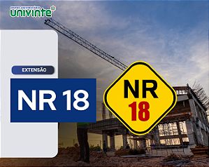 NR 18 - SEGURANÇA E SAÚDE NO TRABALHO NA INDÚSTRIA DA CONSTRUÇÃO