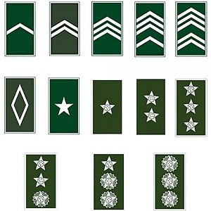 Divisa Distintivo Emborrachado Militar Insígina de Gola EB