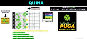 Planilha Quina - Esquema com Jogos de 7 Numeros