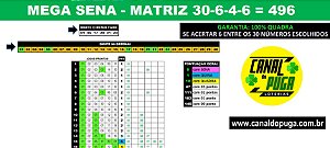 Planilha Mega Sena - Fechamento 30 Dezenas Com 100% Quadra