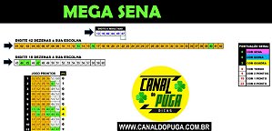 Planilha Mega Sena - Esquema com Padrão de 42 Dezenas