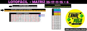 Planilha Lotofacil - 25 Dezenas Combinadas em Jogos de 17 Numeros