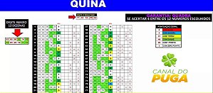 Planilha Quina - Esquema 12 Dezenas Com Garantia De Quadra