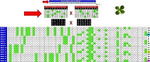 Planilha Lotomania - Esquema Com Cruzamento De Colunas