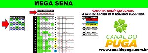 Planilha Mega Sena - Esquema 25 Dezenas com Garantia