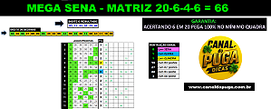 Planilha Mega Sena | 20 Dezenas combinadas em 66 Jogos