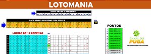 Planilha Lotomania - 93 Dezenas Combinadas em Grupos de 14