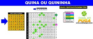 Planilha Quininha e Quina - Redução de 80 Dezenas para 13 com Garantia