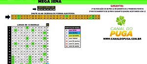 Planilha Mega Sena - Jogue com 31 Grupos de 12 Dezenas e Garantia