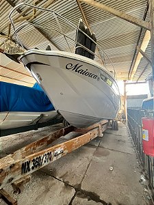 NX 370 -Mercruiser 270 HP (2022)