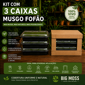 KIT COM 3 CAIXAS DE MUSGO FOFÃO VIVO BIG MOSS – 33x33x7cm