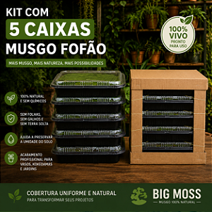 KIT COM 5 CAIXAS DE MUSGO FOFÃO VIVO BIG MOSS – 33x33x7cm