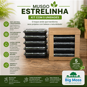 KIT COM 5 MUSGOS ESTRELINHA VIVOS BIG MOSS