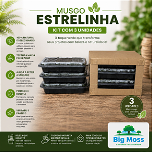 KIT COM 3 MUSGOS ESTRELINHA VIVOS BIG MOSS