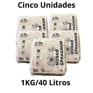 05kg Musgo Esfagno Kit 5 pcts 1kg