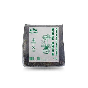 01Kg Musgo Verde Tipo Graminha