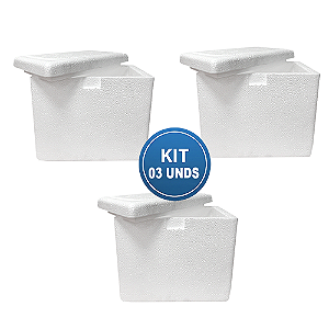 Caixa EPS ISOPOR® 03 Litros Parede Simples - Kit com 03 unidades