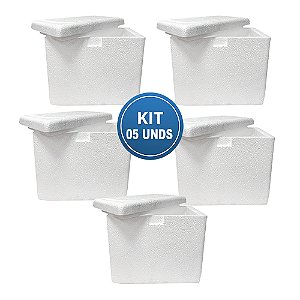 Caixa EPS ISOPOR® 03 Litros Parede Simples - Kit com 05 unidades