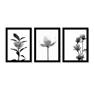 Kit 3 Quadros Flores Botânico Preto e Branco