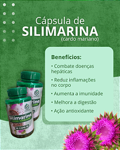 Silimarina Fonte Verde 60 Cápsulas - 500mg