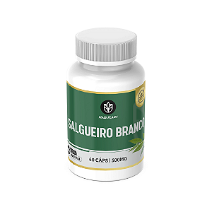 Salgueiro Branco Mais Plant | 60 Cápsulas - 500mg