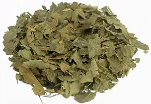 Chá de bugre a granel 1kg