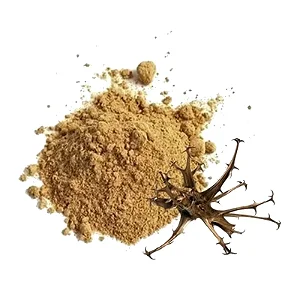 Chá de Garra do Diabo em Pó ( Harpagophytum Procumbens ) a granel 1kg