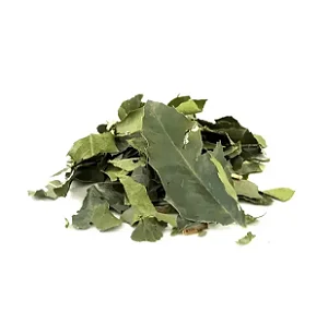 Espinheira Santa Maythenus 1Kg ( (Maytenus ilicifolia)