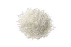 Coco Ralado Fino | 100g à granel