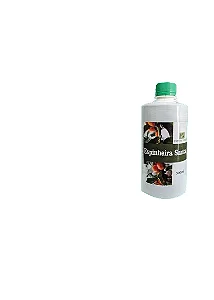 Espinheira Santa Fonte Verde | 500ml