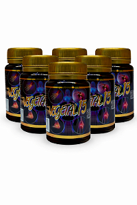 Kit 6 Vegetal 15 – 15 Cápsulas de 500mg