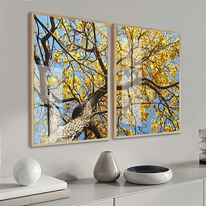 Dois Quadros - Árvore Ipê-amarelo