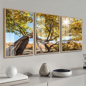 Trio de Quadro  Árvore Paisagem
