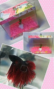Mini Aquário (Beteira)  Rosa Com tema das Princesas