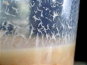 Start de Microvermes