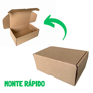Caixa de papelão para transporte (27x17,6x8,6 cm) 10 unidades