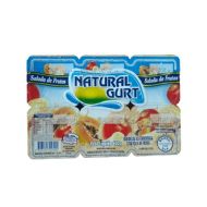 BEBIDA LACTEA NATURAL GURT 510G SALADA DE FRUTAS C/6UNDS