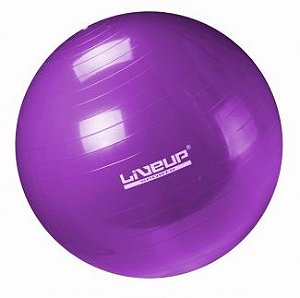Bola de Pilates S 55cm Roxa