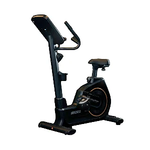 Bicicleta vertical profissional Evolution B6000