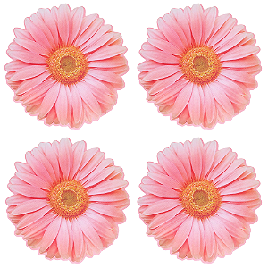 Jogo Americano 4 Peças Formato Flor Gerberas 45x45cm Tecido