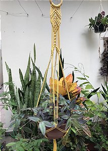 Macramê suporte para plantas- Flecha - Tingimento natural de açafrão da terra