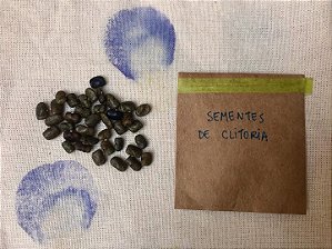 sementes de Clitoria ternatea