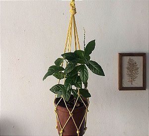 Suporte para plantas macramê