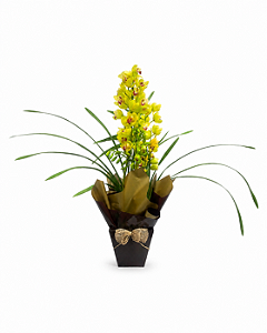Orquídea Cymbidium Amarela 3 Hastes